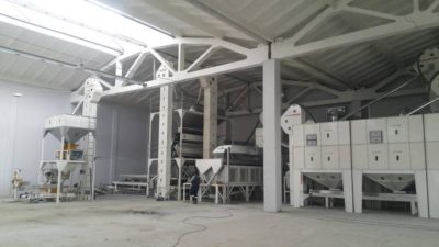 Линия по переработке бобовых культур 10 тонн в час (Узбекистан)